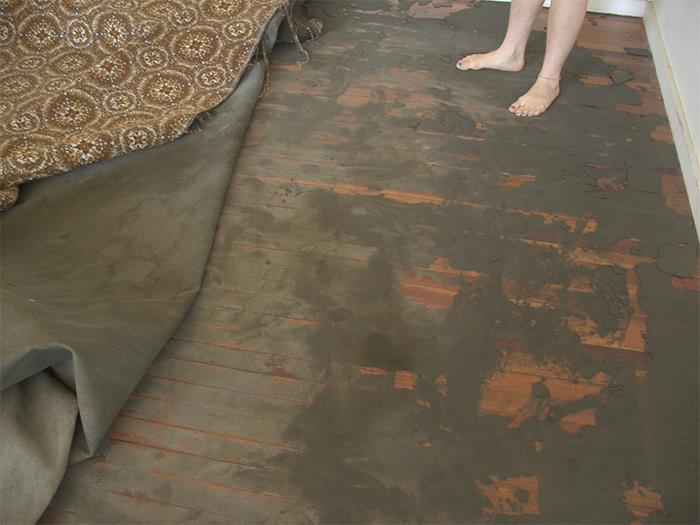 30 Landlords Describe The Weirdest And Most Disturbing Tenant They’ve Ever Had 30 Landlords Describe The Weirdest And Most Disturbing Tenant They’ve Ever Had