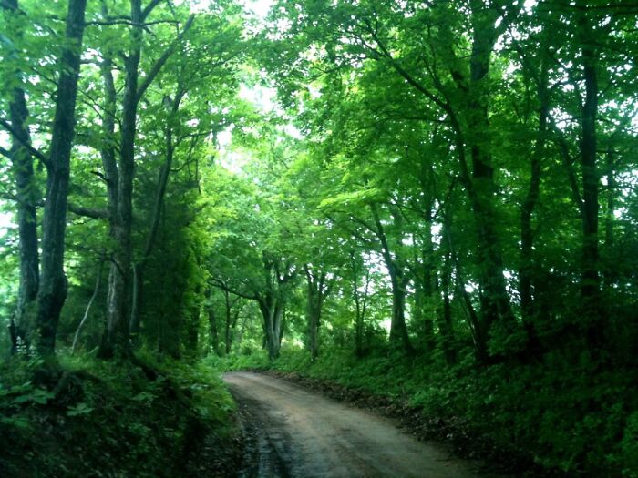 Hey Pandas, Post Something Relaxing That Can Calm Down Anxiety (Closed) Hey Pandas, Post Something Relaxing That Can Calm Down Anxiety (Closed)