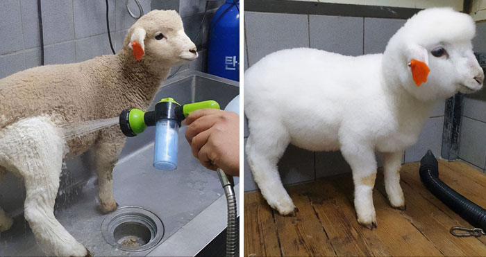 50 Times People Posted Incredibly Wholesome Before & After Pictures Online 50 Times People Posted Incredibly Wholesome Before & After Pictures Online