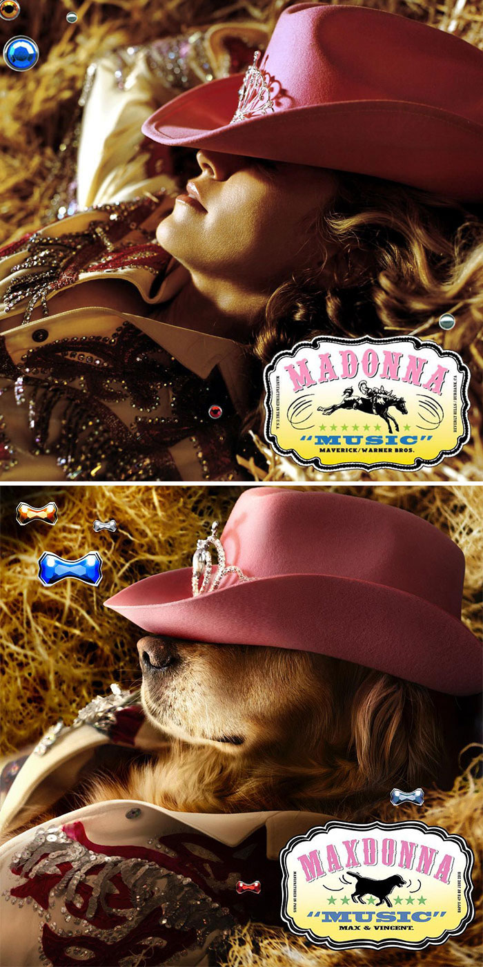 This Dog Recreates Madonna’s Iconic Pics And Some Could Say They’re Even Better Than The Originals (18 Pics) This Dog Recreates Madonna’s Iconic Pics And Some Could Say They’re Even Better Than The Originals (18 Pics)