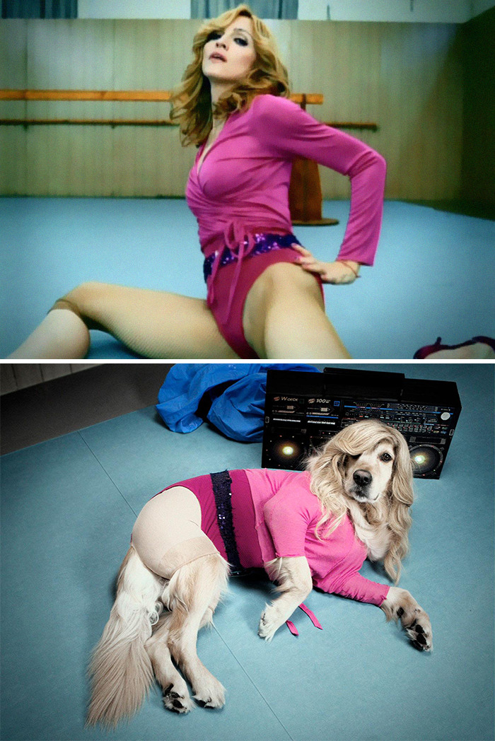 This Dog Recreates Madonna’s Iconic Pics And Some Could Say They’re Even Better Than The Originals (18 Pics)