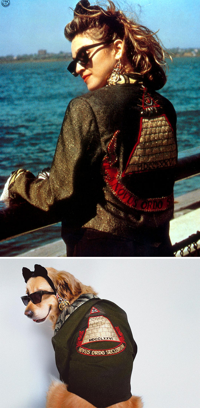 This Dog Recreates Madonna’s Iconic Pics And Some Could Say They’re Even Better Than The Originals (18 Pics)