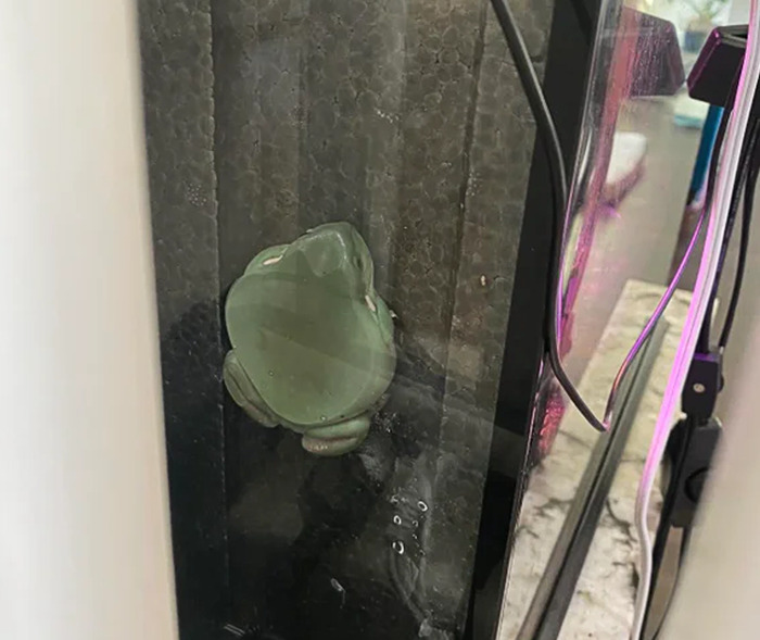 50 Funny Animals Who Got Stuck And Required Human Assistance 50 Funny Animals Who Got Stuck And Required Human Assistance