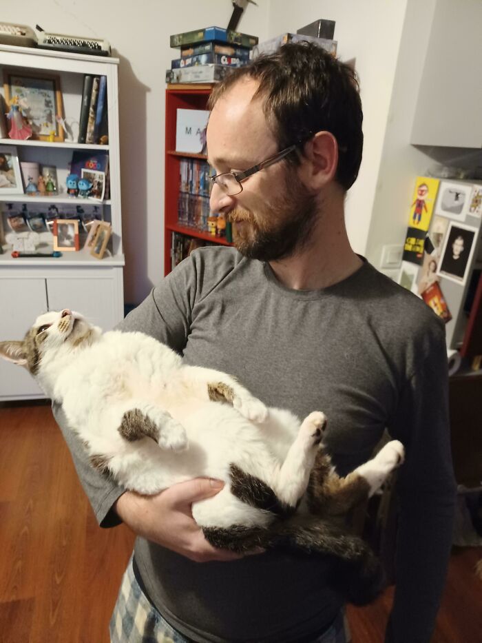 40 Times Cats Acted So Weird, They Made People Ask, “What’s Wrong With Your Cat” (New Pics) 40 Times Cats Acted So Weird, They Made People Ask, “What’s Wrong With Your Cat” (New Pics)