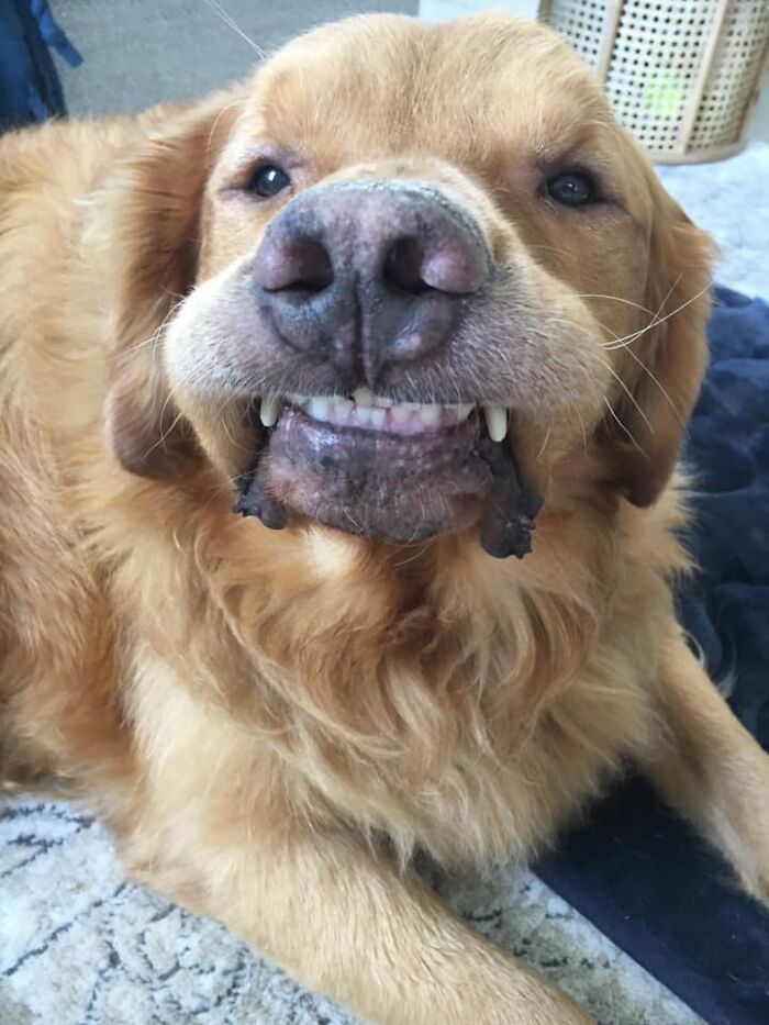 Hey Pandas, Take A Picture Of Something To Your Left (Closed) Hey Pandas, Take A Picture Of Something To Your Left (Closed)