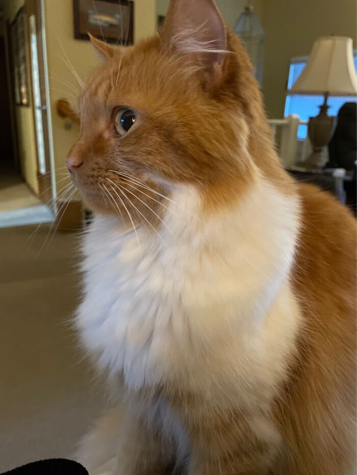 Hey Pandas, Take A Picture Of Something To Your Left (Closed) Hey Pandas, Take A Picture Of Something To Your Left (Closed)