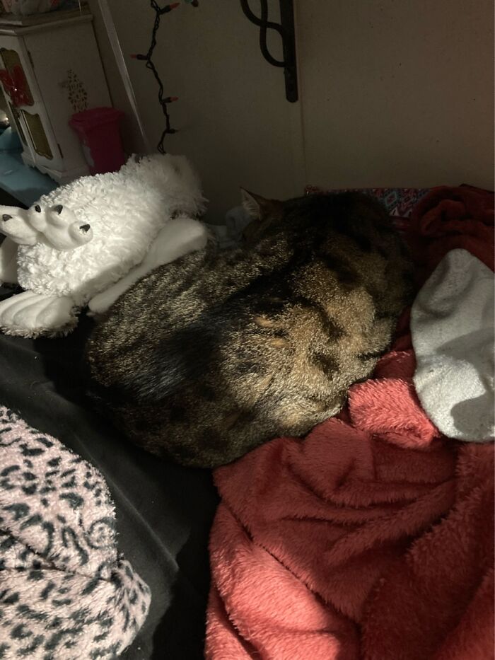 Hey Pandas, Take A Picture Of Something To Your Left (Closed) Hey Pandas, Take A Picture Of Something To Your Left (Closed)