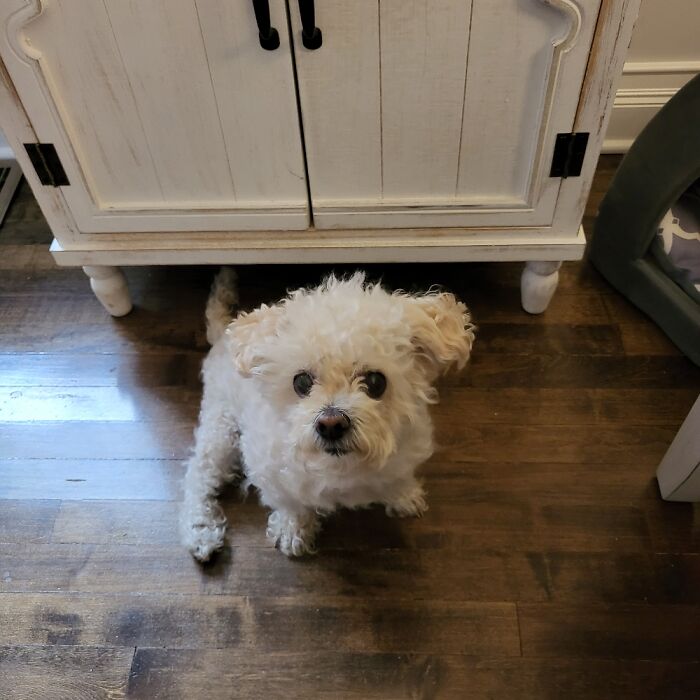 Hey Pandas, Take A Picture Of Something To Your Left (Closed) Hey Pandas, Take A Picture Of Something To Your Left (Closed)