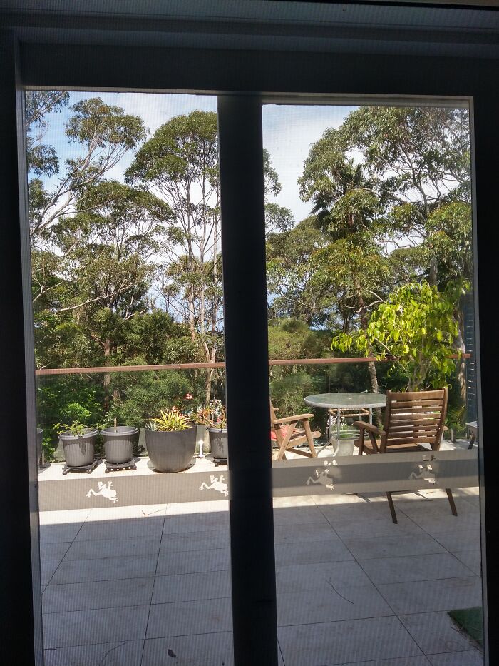 Hey Pandas, Take A Picture Of Something To Your Left (Closed) Hey Pandas, Take A Picture Of Something To Your Left (Closed)