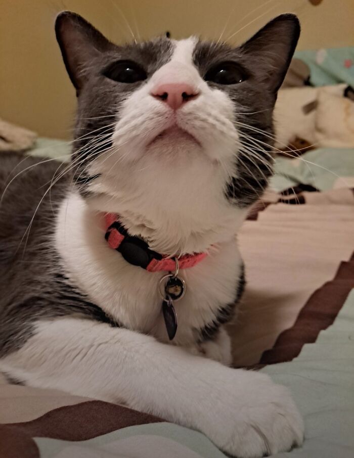 Hey Pandas, Take A Picture Of Something To Your Left (Closed) Hey Pandas, Take A Picture Of Something To Your Left (Closed)