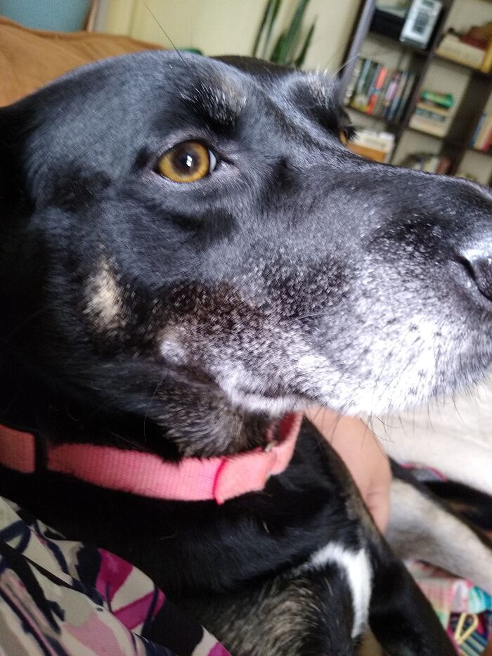 Hey Pandas, Take A Picture Of Something To Your Left (Closed) Hey Pandas, Take A Picture Of Something To Your Left (Closed)