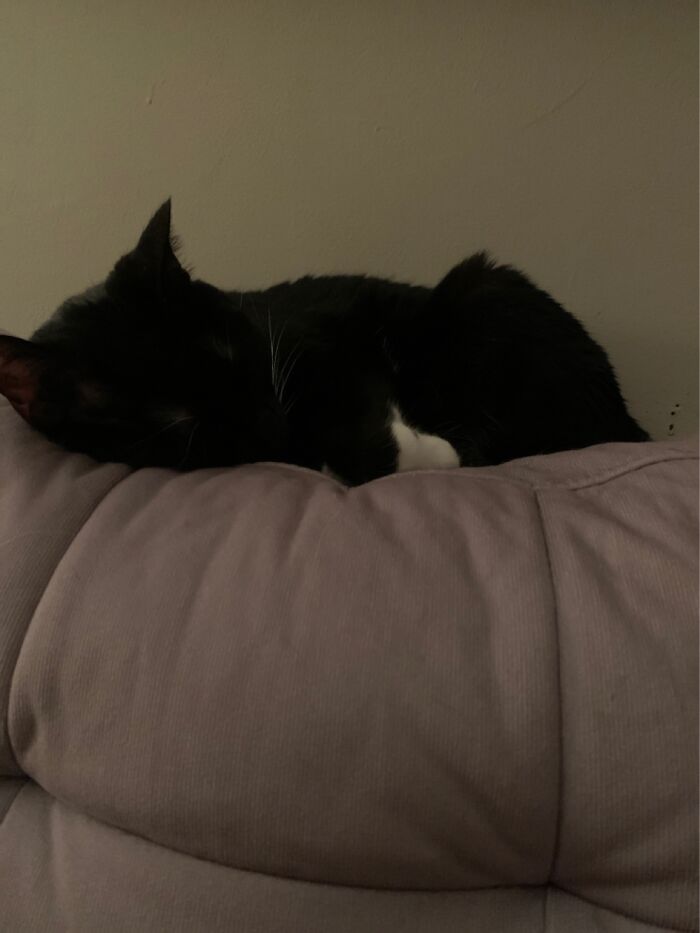 Hey Pandas, Take A Picture Of Something To Your Left (Closed) Hey Pandas, Take A Picture Of Something To Your Left (Closed)