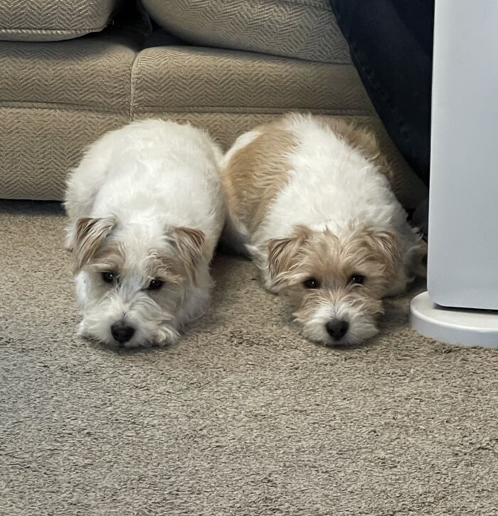 Hey Pandas, Take A Picture Of Something To Your Left (Closed) Hey Pandas, Take A Picture Of Something To Your Left (Closed)