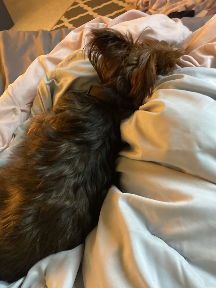 Hey Pandas, Take A Picture Of Something To Your Left (Closed) Hey Pandas, Take A Picture Of Something To Your Left (Closed)