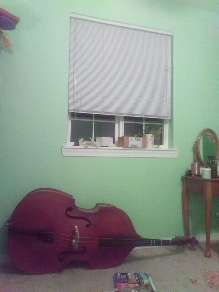 Hey Pandas, Take A Picture Of Something To Your Left (Closed) Hey Pandas, Take A Picture Of Something To Your Left (Closed)