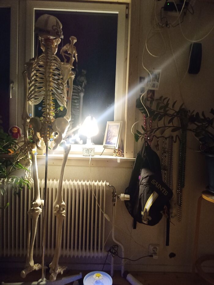 Hey Pandas, Take A Picture Of Something To Your Left (Closed) Hey Pandas, Take A Picture Of Something To Your Left (Closed)