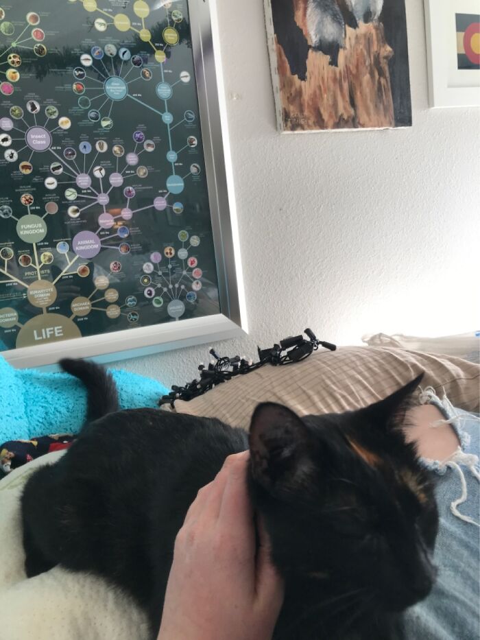 Hey Pandas, Take A Picture Of Something To Your Left (Closed) Hey Pandas, Take A Picture Of Something To Your Left (Closed)