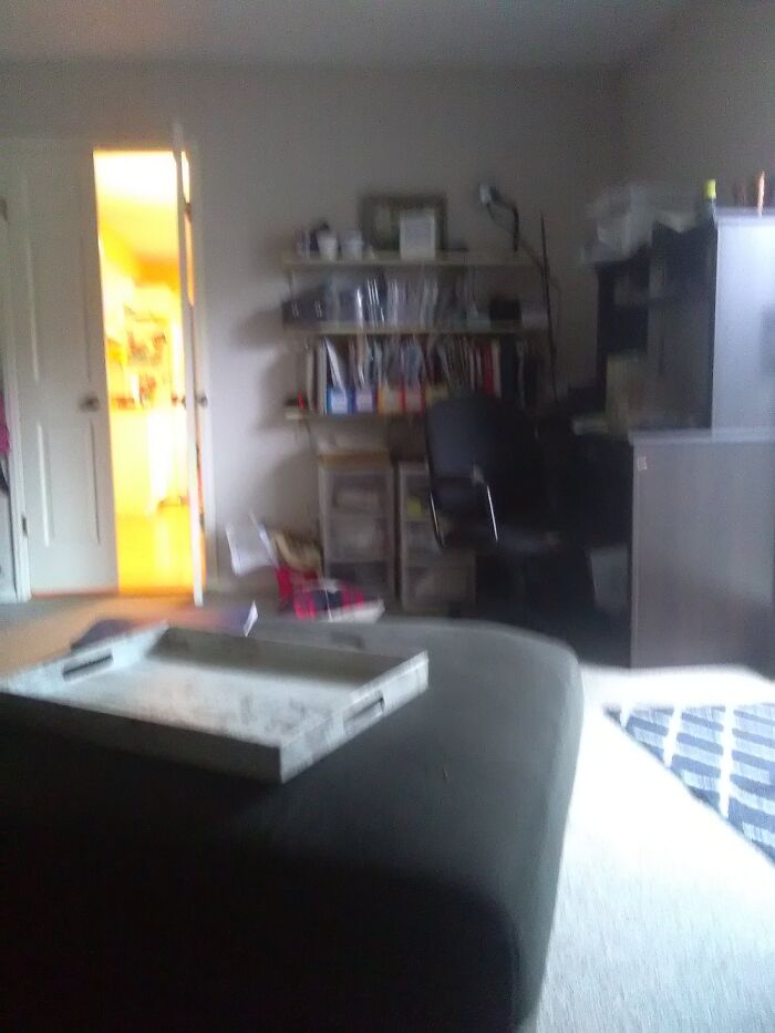 Hey Pandas, Take A Picture Of Something To Your Left (Closed) Hey Pandas, Take A Picture Of Something To Your Left (Closed)