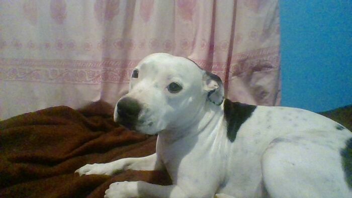 Hey Pandas, Take A Picture Of Something To Your Left (Closed) Hey Pandas, Take A Picture Of Something To Your Left (Closed)