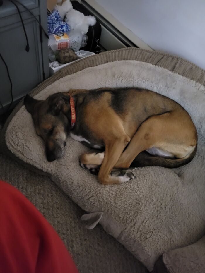 Hey Pandas, Take A Picture Of Something To Your Left (Closed) Hey Pandas, Take A Picture Of Something To Your Left (Closed)