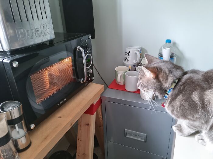 Hey Pandas, Take A Picture Of Something To Your Left (Closed) Hey Pandas, Take A Picture Of Something To Your Left (Closed)