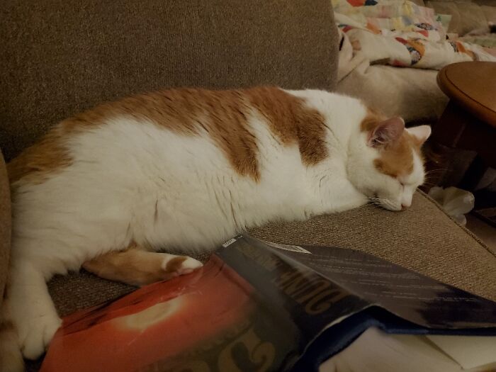 Hey Pandas, Take A Picture Of Something To Your Left (Closed) Hey Pandas, Take A Picture Of Something To Your Left (Closed)