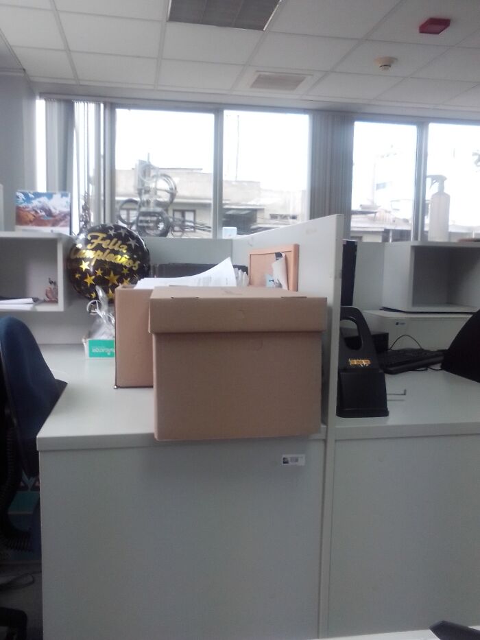 Hey Pandas, Take A Picture Of Something To Your Left (Closed) Hey Pandas, Take A Picture Of Something To Your Left (Closed)