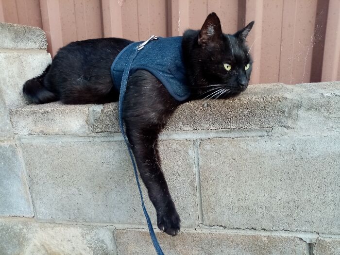 Hey Pandas, Take A Picture Of Something To Your Left (Closed) Hey Pandas, Take A Picture Of Something To Your Left (Closed)