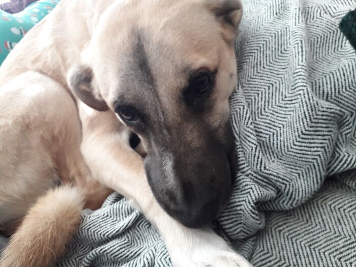 Hey Pandas, Take A Picture Of Something To Your Left (Closed) Hey Pandas, Take A Picture Of Something To Your Left (Closed)