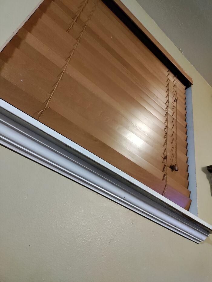 Hey Pandas, Take A Picture Of Something To Your Left (Closed) Hey Pandas, Take A Picture Of Something To Your Left (Closed)