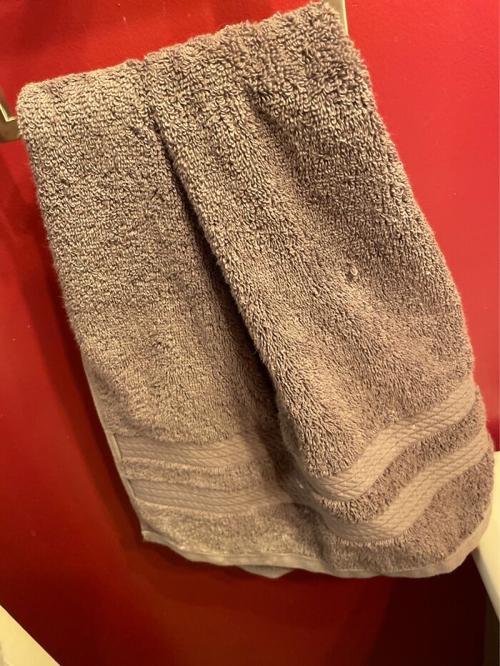 Hey Pandas, Take A Picture Of Something To Your Left (Closed) Hey Pandas, Take A Picture Of Something To Your Left (Closed)