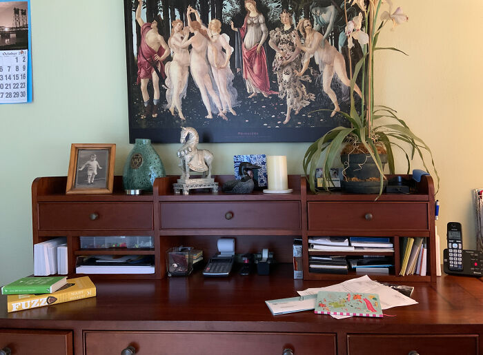 Hey Pandas, Take A Picture Of Something To Your Left (Closed) Hey Pandas, Take A Picture Of Something To Your Left (Closed)