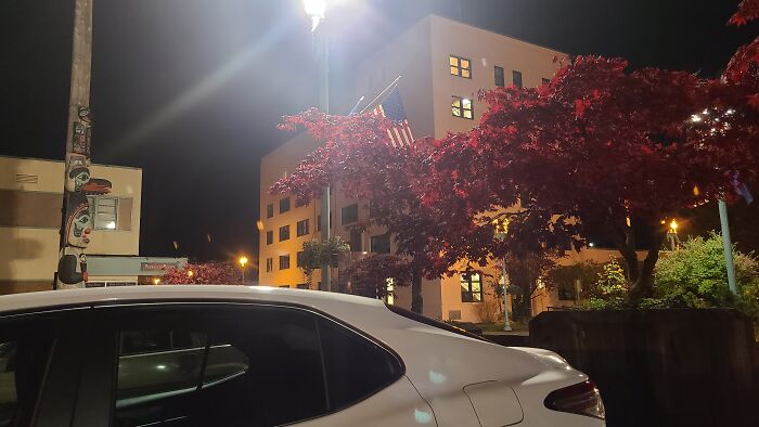 Hey Pandas, Take A Picture Of Something To Your Left (Closed) Hey Pandas, Take A Picture Of Something To Your Left (Closed)