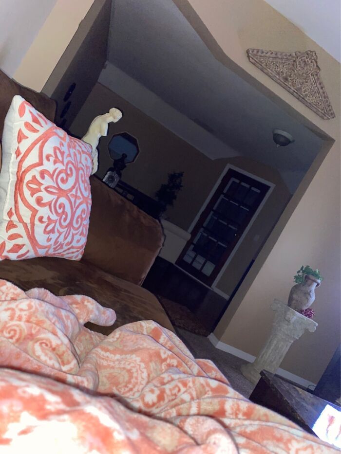 Hey Pandas, Take A Picture Of Something To Your Left (Closed) Hey Pandas, Take A Picture Of Something To Your Left (Closed)