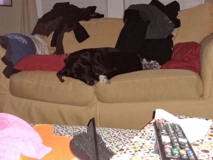 Hey Pandas, Take A Picture Of Something To Your Left (Closed) Hey Pandas, Take A Picture Of Something To Your Left (Closed)