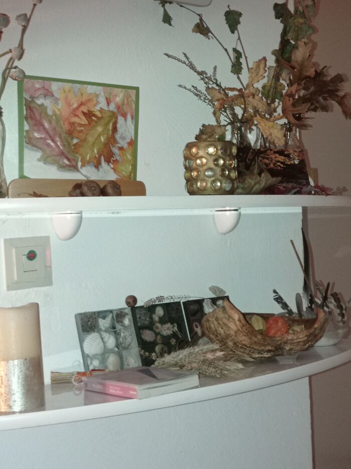 Hey Pandas, Take A Picture Of Something To Your Left (Closed) Hey Pandas, Take A Picture Of Something To Your Left (Closed)