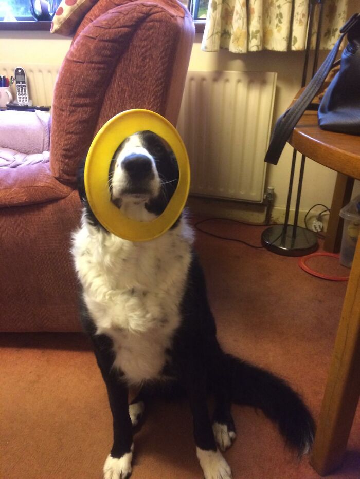 Hey Pandas, Take A Picture Of Something To Your Left (Closed) Hey Pandas, Take A Picture Of Something To Your Left (Closed)