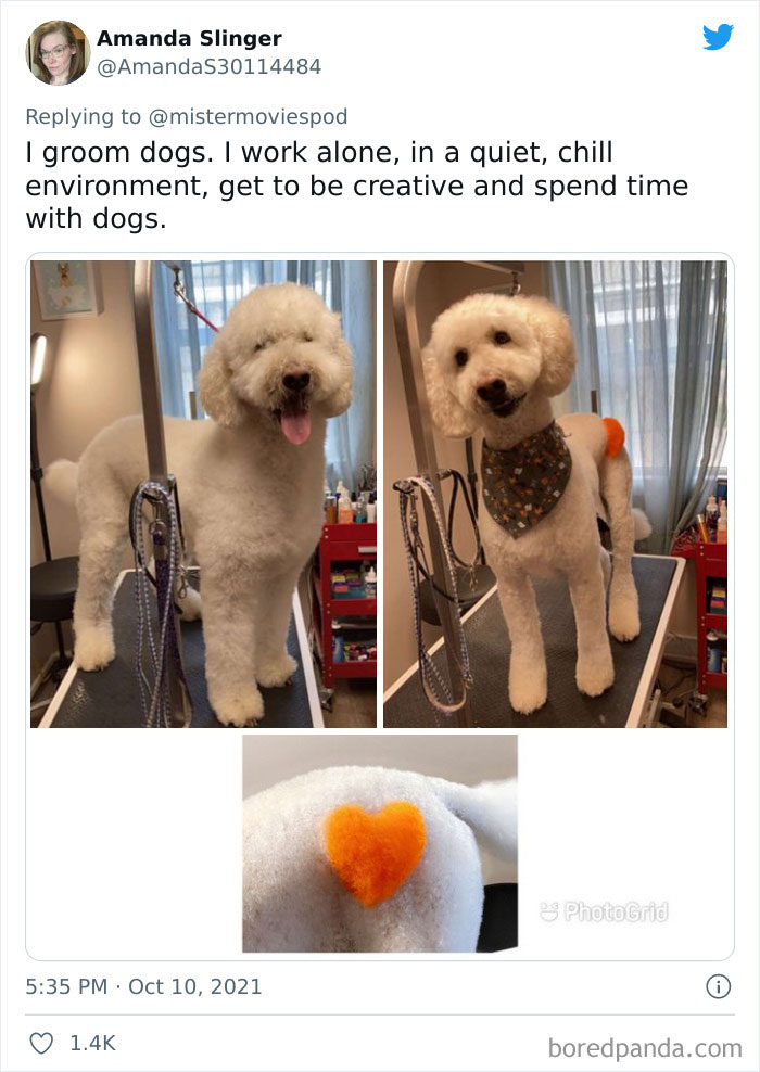 People Who Actually Like Their Jobs Are Sharing What They Do (35 Tweets) People Who Actually Like Their Jobs Are Sharing What They Do (35 Tweets)