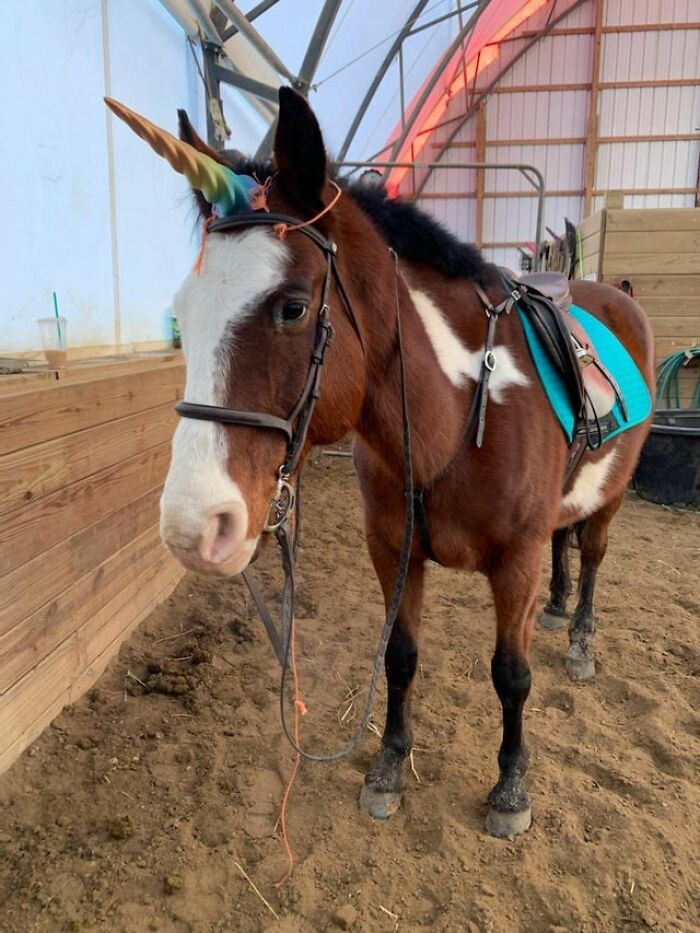 These People Online Are Making Their Ideas Come To Life By Printing Them With A 3D Printer (30 Creations) These People Online Are Making Their Ideas Come To Life By Printing Them With A 3D Printer (30 Creations)