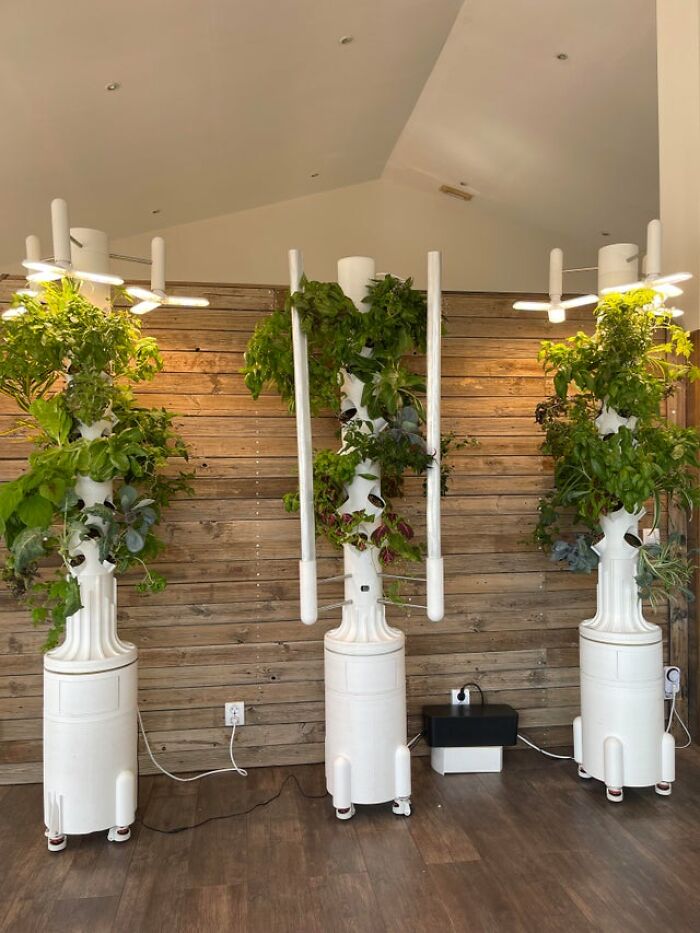 These People Online Are Making Their Ideas Come To Life By Printing Them With A 3D Printer (30 Creations) These People Online Are Making Their Ideas Come To Life By Printing Them With A 3D Printer (30 Creations)