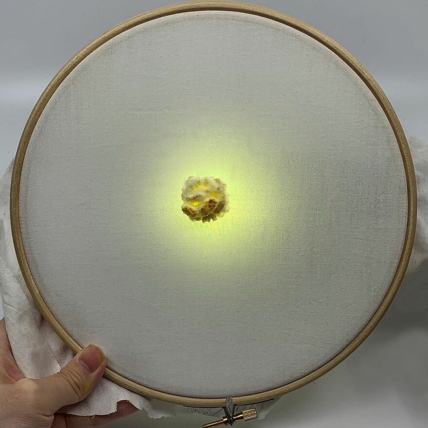 Artist Makes 31 3D Embroideries Of Food, And They Are A Feast For The Eyes