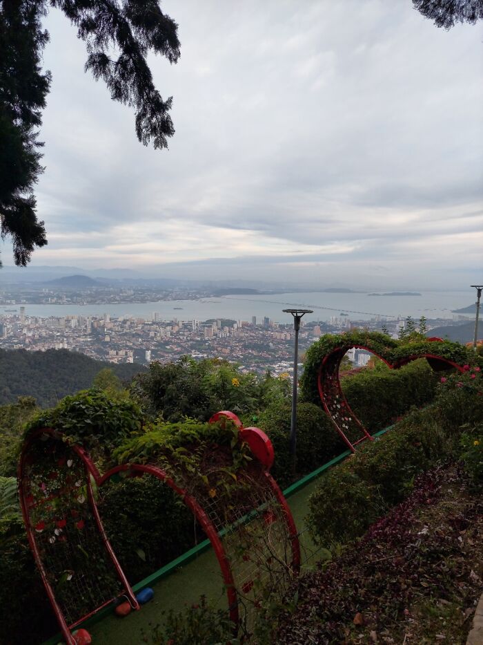 Hey Pandas, Where Is The Best Spot To Contemplate Your City?