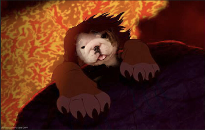 Hey Pandas, Photoshop This Puppy I Found On Bored Panda Hey Pandas, Photoshop This Puppy I Found On Bored Panda