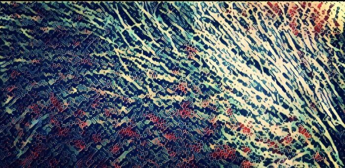 Hey Pandas, Show Us Your Best Art That You Did This Year (Closed) Hey Pandas, Show Us Your Best Art That You Did This Year (Closed)