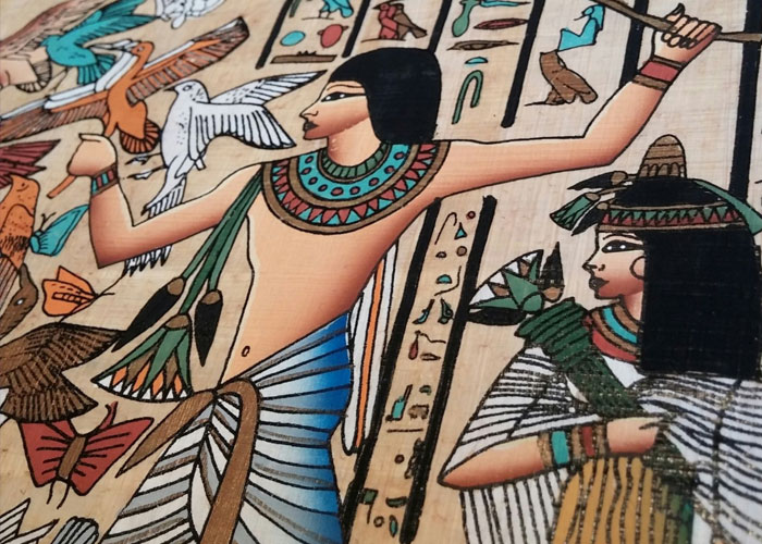 30 ‘Today I Learned’ Facts That Show It’s Never Too Late To Learn (New Pics)