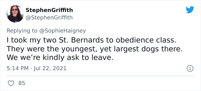 32 Times When Dogs Got Kicked Out Of Daycare For The Funniest Reasons, Shared By Owners Online 32 Times When Dogs Got Kicked Out Of Daycare For The Funniest Reasons, Shared By Owners Online