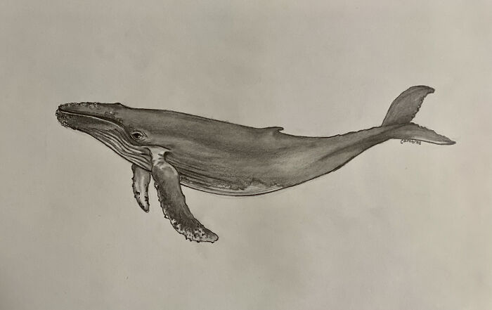 Hey Pandas, Share Your Best Drawing (Closed) Hey Pandas, Share Your Best Drawing (Closed)