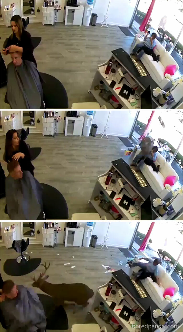 This Online Group Is Dedicated To Posts That Escalated Quickly, Here Are 30 Of The Funniest This Online Group Is Dedicated To Posts That Escalated Quickly, Here Are 30 Of The Funniest