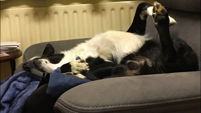 Hey Pandas, Post The Funniest Pic You’ve Ever Taken (Closed) Hey Pandas, Post The Funniest Pic You’ve Ever Taken (Closed)