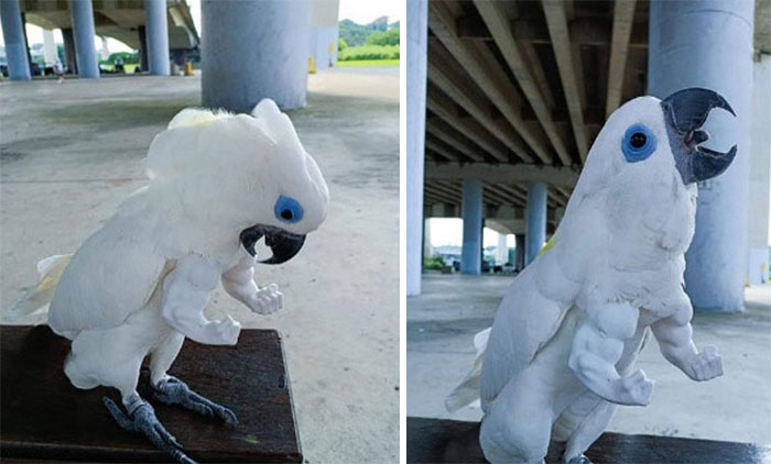 Hey Pandas, Show Us The Weirdest Meme (Closed)